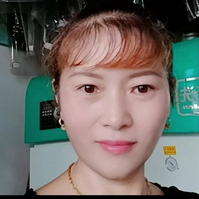 代理范珍香